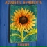 Acoustic Syndicate