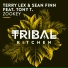 Terry Lex, Sean Finn feat. Tony T.