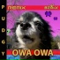 Bemax feat. Pudgy