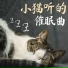 猫咪安眠曲