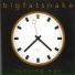 Big Fat Snake