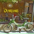 Les Oursins
