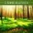 Foresta Nera