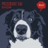 President Xai
