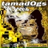 TAMADOGS OF BOGIA