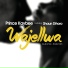 Prince Kaybee feat. Shaun Dihoro