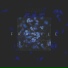 Lifeless Existence