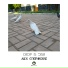 Alex Greenhouse