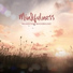 Stress Relief Calm Oasis, Time of Relax Universe