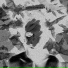 qurixsity