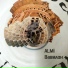 ALMi
