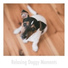 Dog Chill Out Music