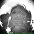 Haunted Echo