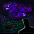 Dualist Inquiry