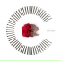 coldrain