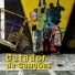 Catador de Canções