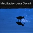 Musica de Relajación Academy