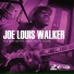 Joe Louis Walker