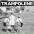 Trampolene