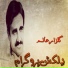 Gulzar Alam