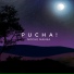 Pucha!