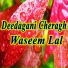 Waseem Lal