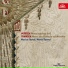 Musica Florea, Marek Štryncl