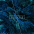 Bluze