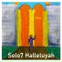 Solo7