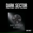 Dark Sector