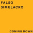 Falso Simulacro