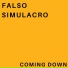 Falso Simulacro