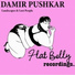 Damir Pushkar