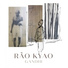 Rão Kyao
