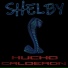 Hucho Calderon