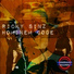 J Apollo