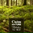 Sounds of Nature Relaxation