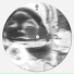 Sensive