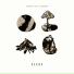 Streetlight Cadence
