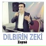 Dılbırin Zeki