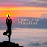 Yoga Zen Playlist