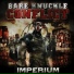 Bare Knuckle Conflict