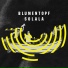 Blumentopf