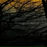 Shadow Londo Project