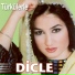 Dicle
