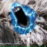 TLD Records