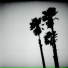 The Twilight Singers