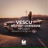 Vescu feat. Belfast Overdose