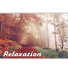 Total Relax Music Ambient
