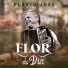 Flavio José
